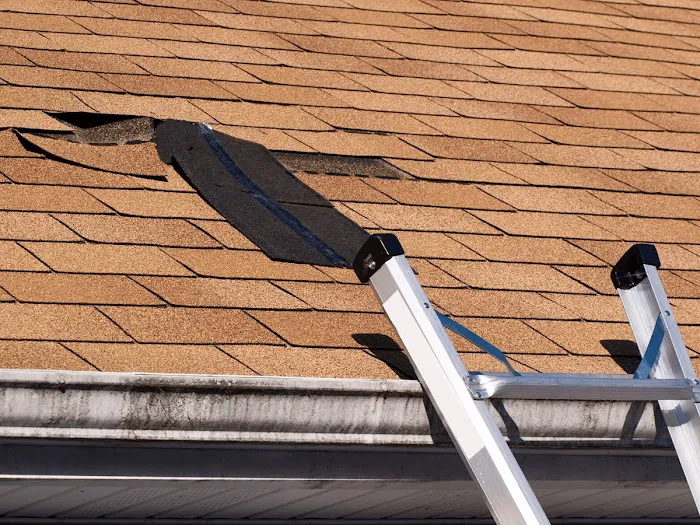 Roofing Contractors Lakeland Picture 1