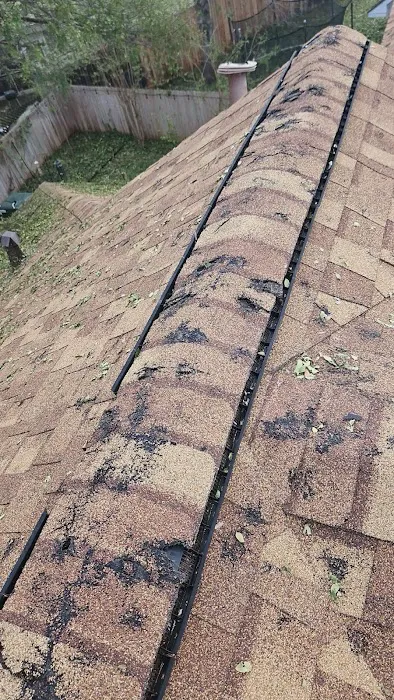 Lago Vista Roofing Picture 1