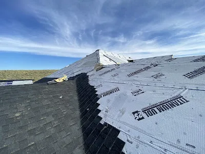 Panama City Roofing Contractors Picture 2