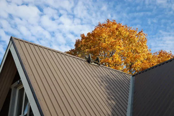 Davis & Sons Roofing & Construction Picture 1