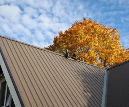 Davis & Sons Roofing & Construction