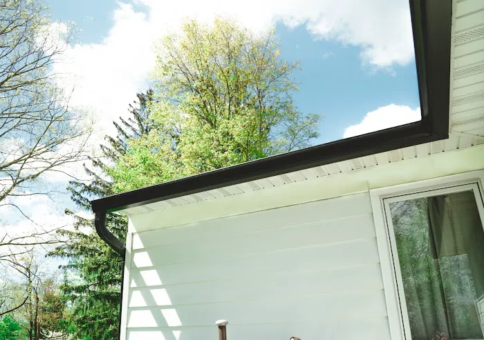 The Brothers That Just Do Gutters Picture 4