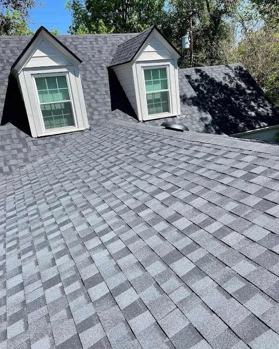 Sprout Roofing Picture 6