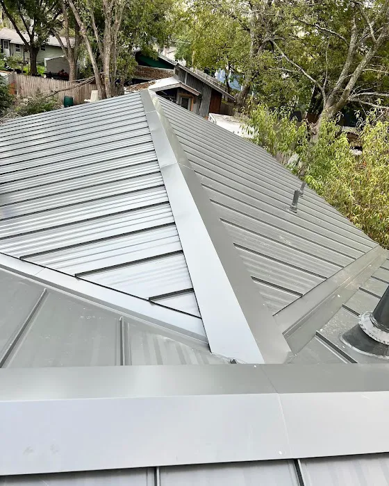 Sprout Roofing Picture 7