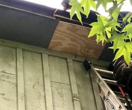 Hiram Roofing