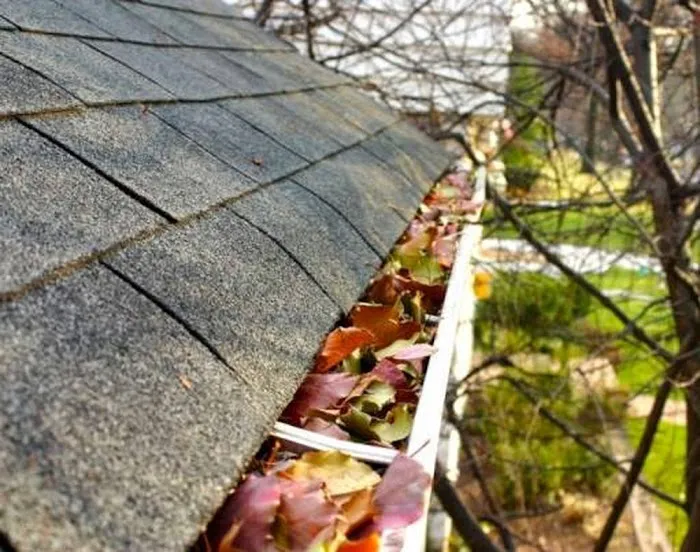SNR Roofing & Contracting Picture 3