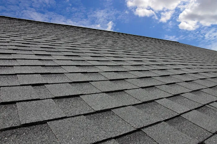 My Next Roof Picture 6