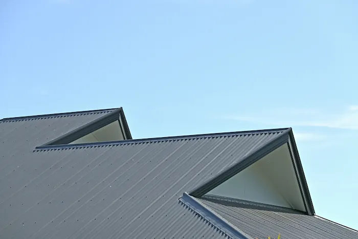 My Next Roof Picture 5