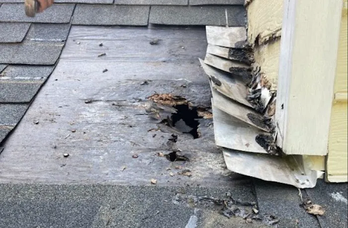 The Original Roof Repair Company Picture 3