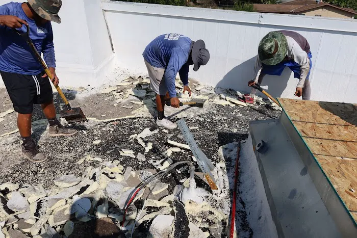 The Roofing Artist Picture 6