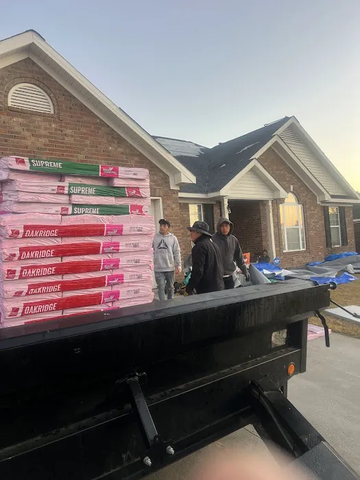 Trurelief Roofing and Tree removal Picture 5