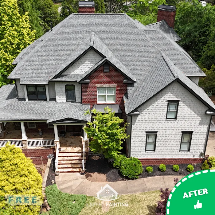 Expert Painting Exterior Picture 8