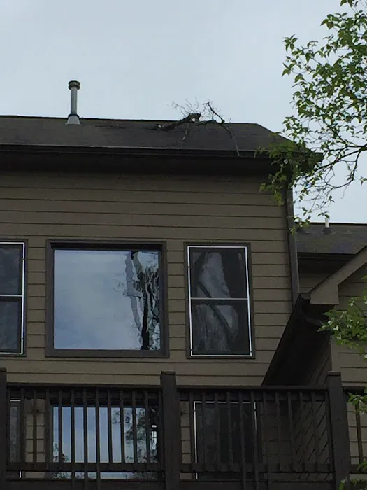 Frank's Roofing Solutions Picture 2
