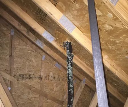Frank's Roofing Solutions