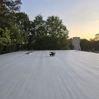 Alarcon Contractors Llc ico