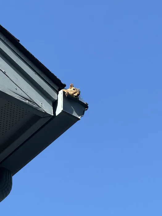 Tarrytown Roofing Picture 7