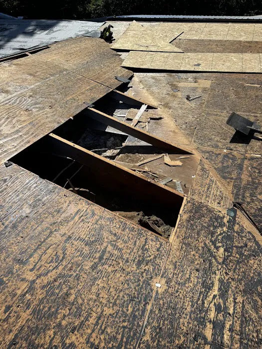 Texas Professional Roofing Picture 5