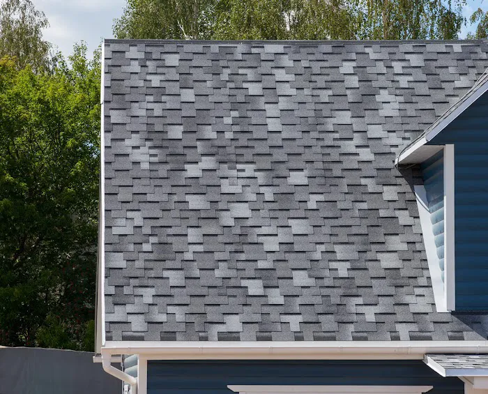 Austintatious Roofing Company Picture 2