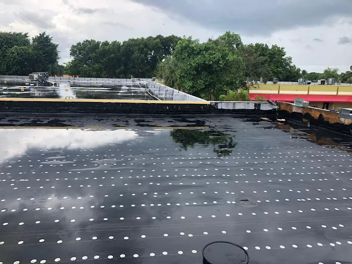 Big Texas Roofing and Solar Picture 3