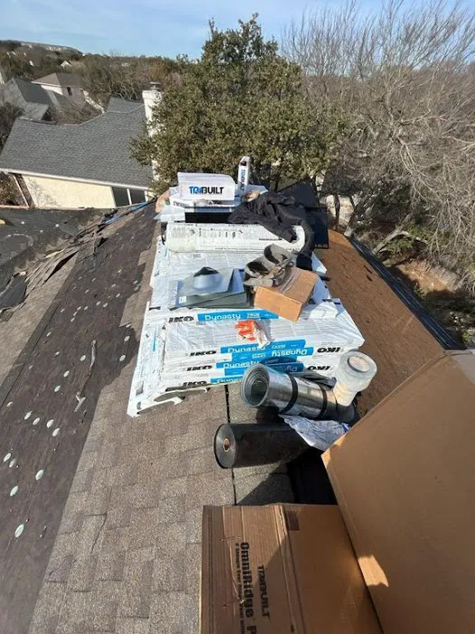 ROOF MONKEY Picture 2