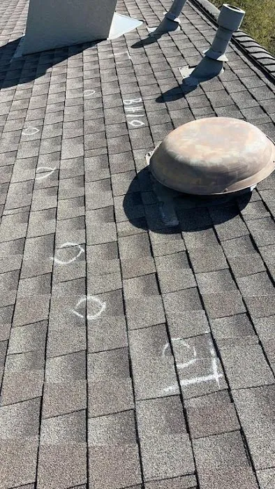 ROOF MONKEY Picture 7