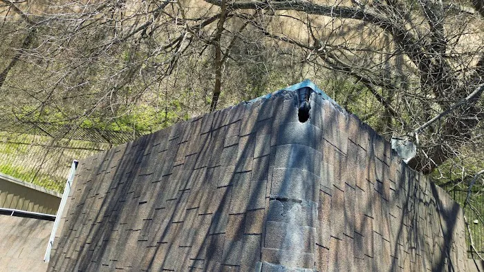 McCannical Roofing & Exteriors Picture 10