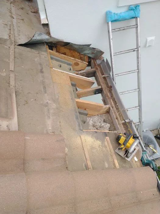 Next 2U Roofing Picture 4
