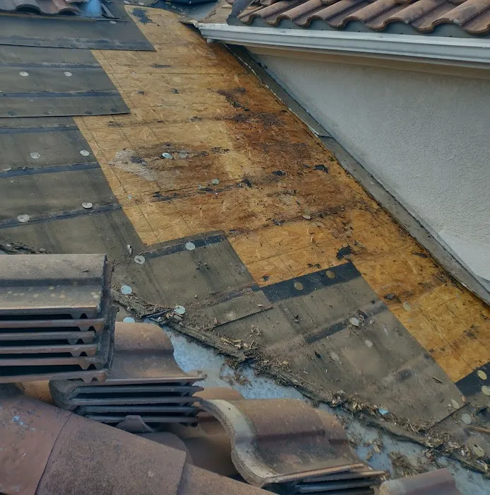 Next 2U Roofing Picture 5