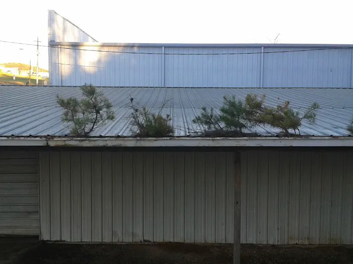 Mike's Exterior Home Care Picture 8