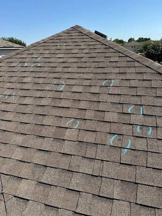 Lapeyre Roofing Picture 4