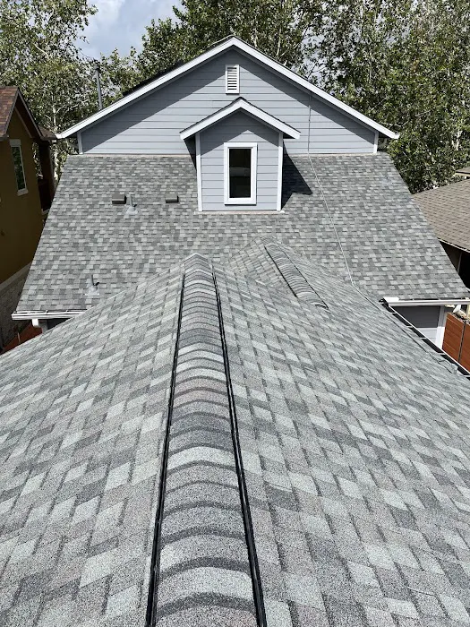 Bluebonnet Custom Roofing Picture 2