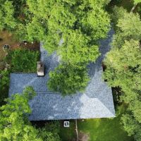 Lions Crown Roofing ico