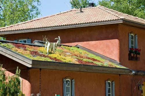 Cedar Park Roofing Company Picture 10