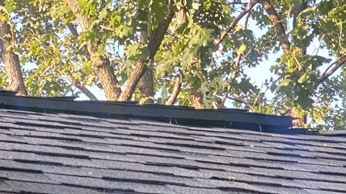 Remedy Roofing Picture 6