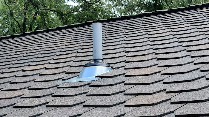 Roofing Turtle Picture 4