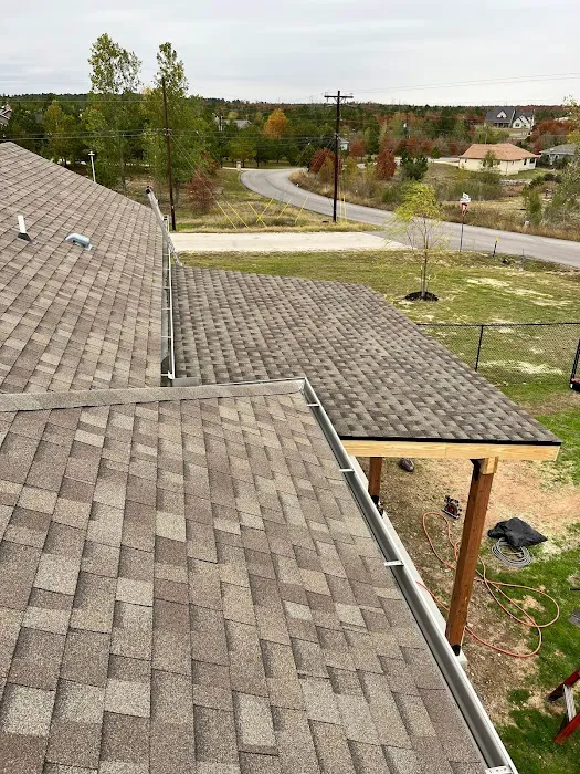 Roofing Turtle Picture 2
