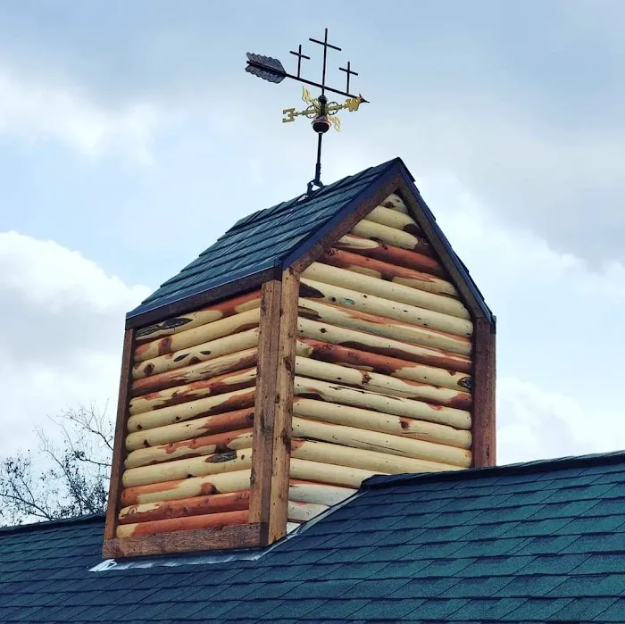 Roofing Turtle Picture 5