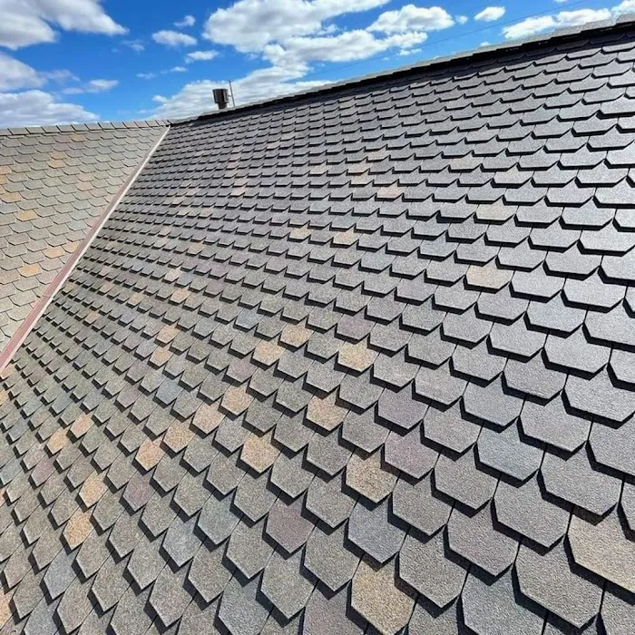 Roofing Turtle Picture 7