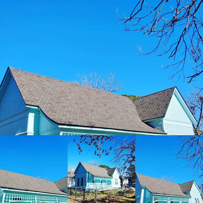 Roofing Turtle Picture 6