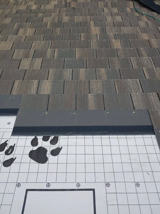 Roofing Turtle Picture 8