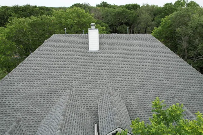 Roofing Turtle Picture 1