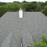 Roofing Turtle