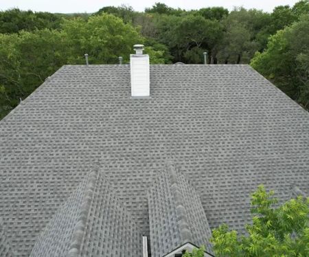 Roofing Turtle