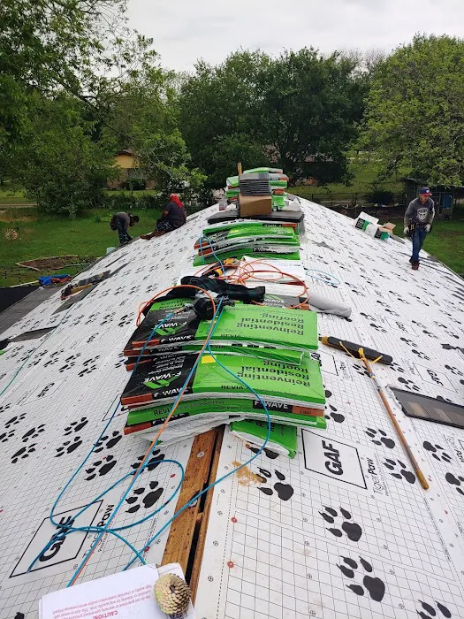 Roofing Turtle Picture 10