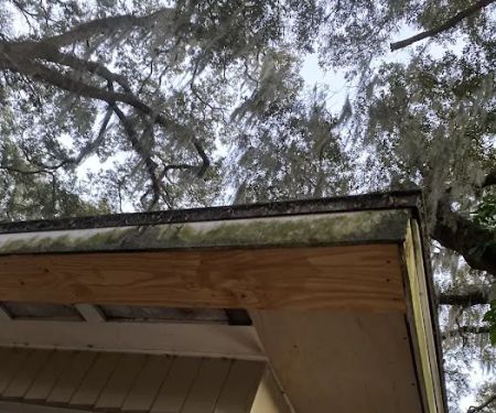 Ace Handyman Services Lakeland
