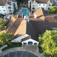 Texas True ico