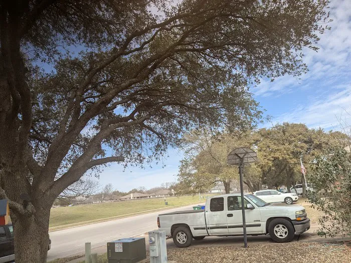 Abraham's Roofing and Tree Trimming Picture 10