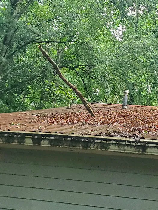 Right-Hand Roofing & Gutters Picture 4