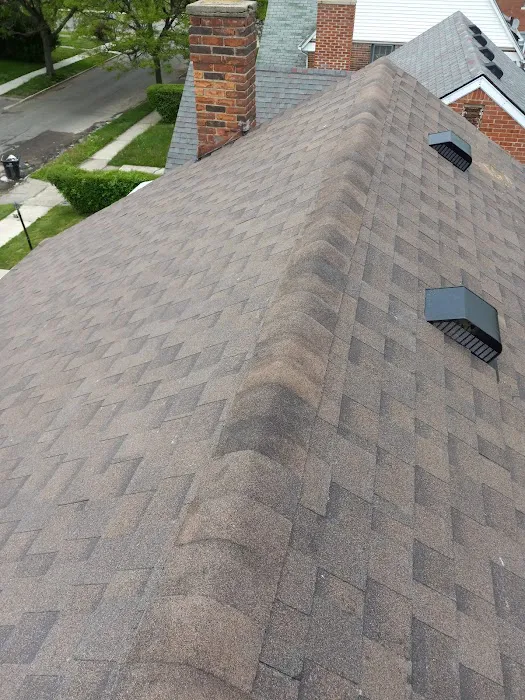 EL Gato roofing Picture 3