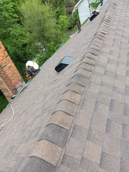 EL Gato roofing Picture 9